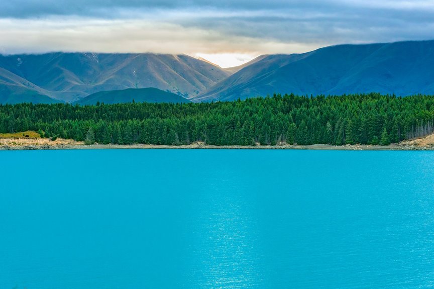 celestial testament of exploration