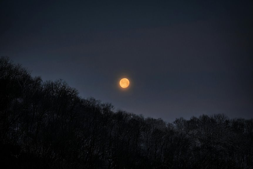 celestial weavers emberflight protocol