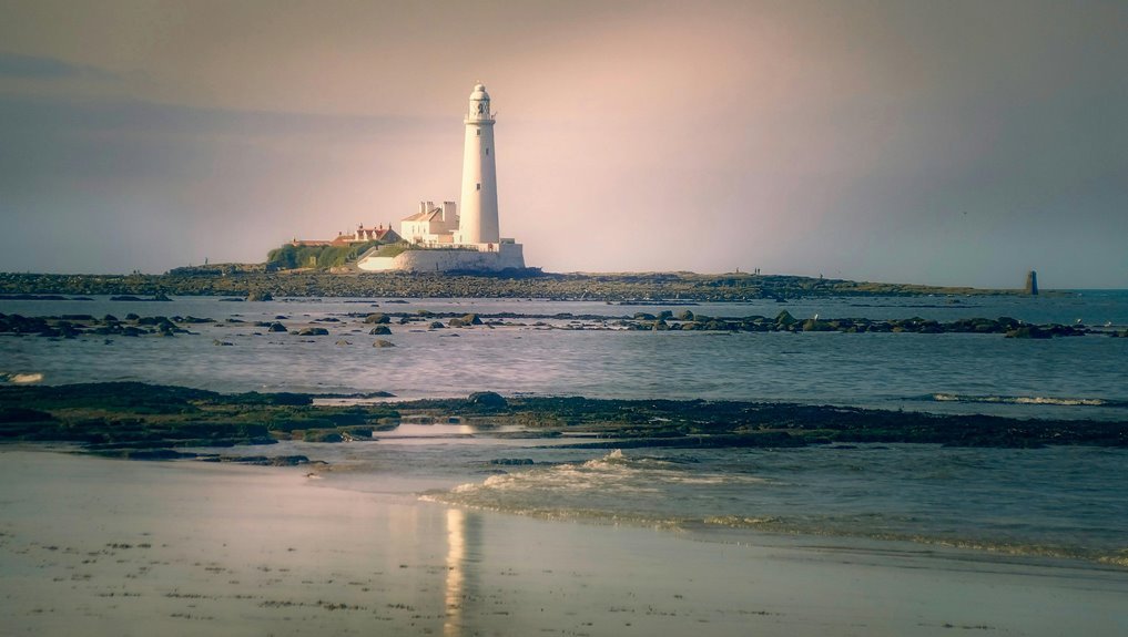 microstar88 slot player guide