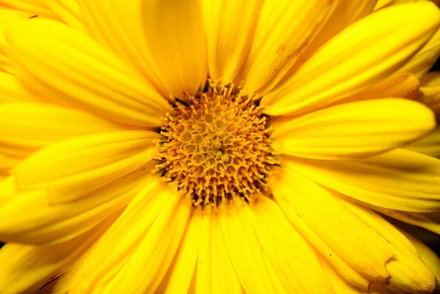 stratified core index number