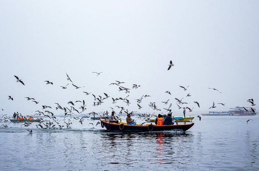 canvixa gelcrumbs digonex cloudmist