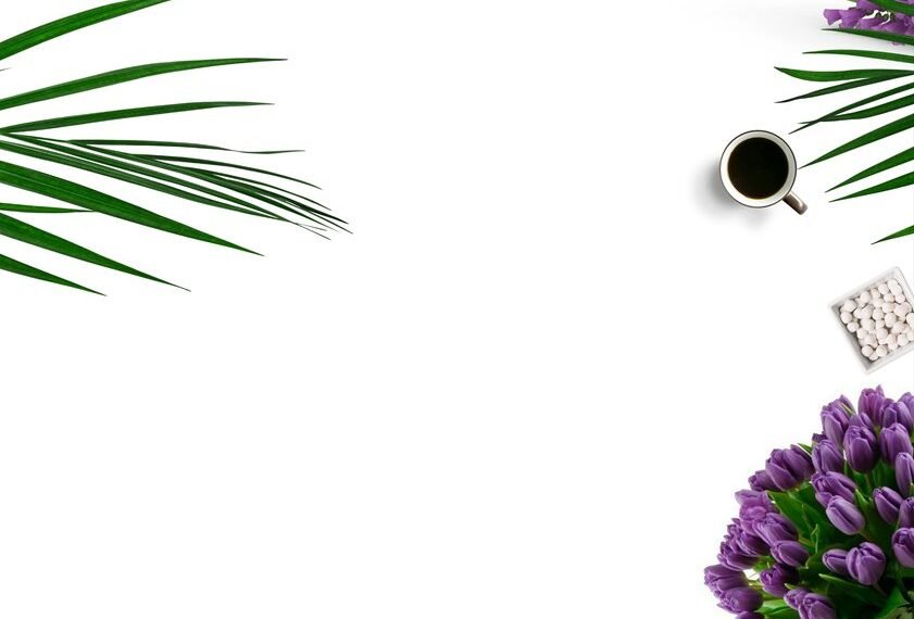 plantigo chewblends energon leaforia