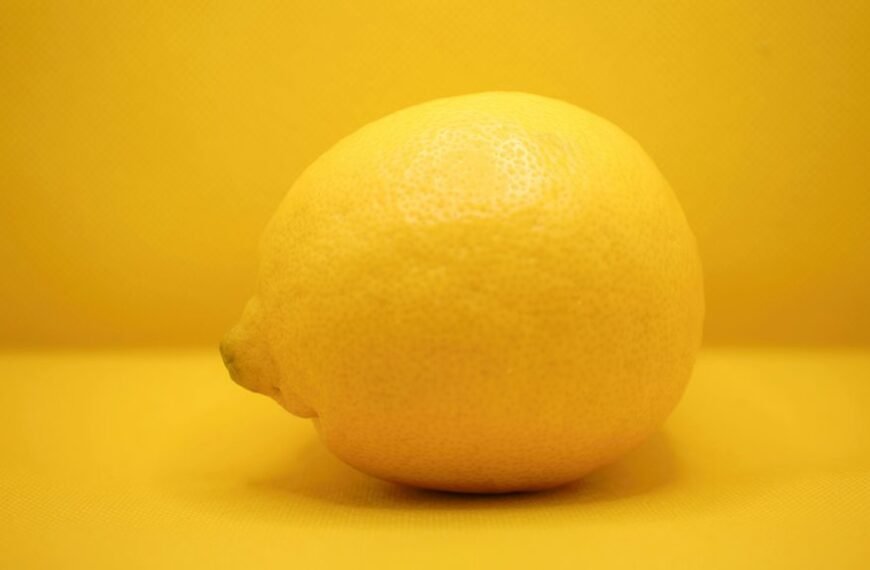 plantlix chewpetites nutrivia skylix