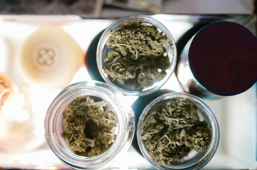 verdantia organic edibles report