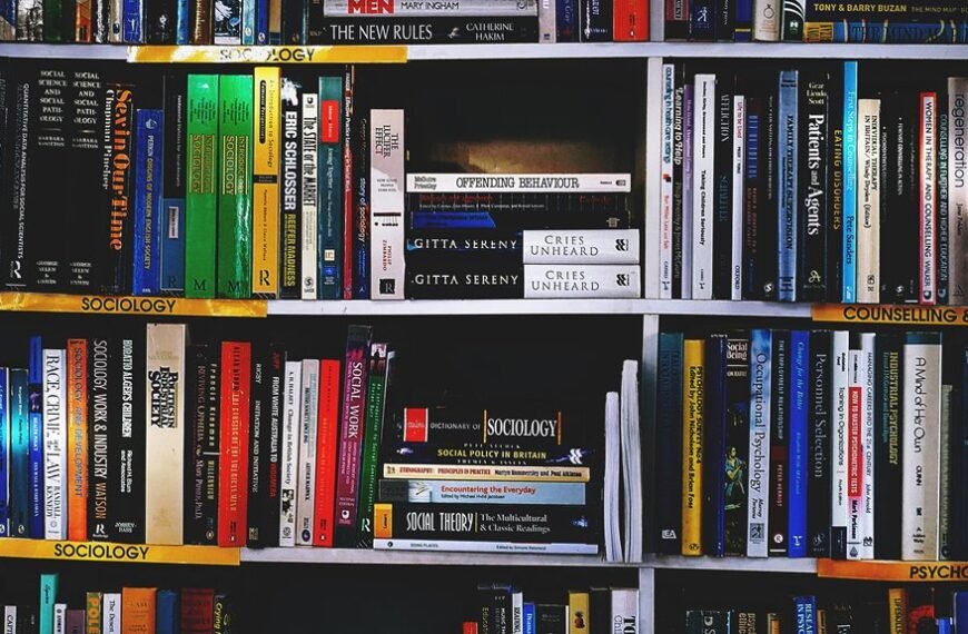 aaryaeditz organization overview guide