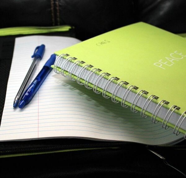 creative writing project details